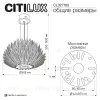 Подвесная люстра Citilux Deltoro CL327160 CL327160 - 18