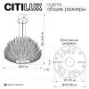Подвесная люстра Citilux Deltoro CL327170 CL327170 - 17