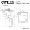 Уличный настенный светильник Citilux Genox CLU12W CLU12W - 15