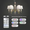 Подвесная люстра Eurosvet Teja 101014/6 латунь Smart a072038 101014/6 латунь Smart - 4