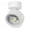 Накладной светильникAlta Pro Lightstar A5636SO A5636SO - 1