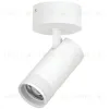 Накладной светильник 20-55G с адаптером Lightstar Canno Pro C4306SO C4306SO - 1