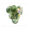 Настенный светильник LOFT IT Lolly 10492W Green 10492W Green - 3