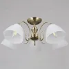 Потолочная люстра Illumico IL0897-5CSQ-26 AB ELITE IL0897-5CSQ-26 AB ELITE - 4