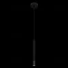 Подвесной светильник Loft IT Everest 10583D Black 10583D Black - 2
