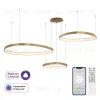 Подвесная люстра Citilux Genka Smart CL756A092 CL756A092 - 1