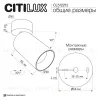 Накладной спот Citilux Axel CL512212 CL512212 - 8