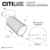 Накладной спот Citilux Axel CL512213R CL512213R - 9