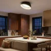 Потолочный светильник Citilux Floom CL736151 CL736151 - 15