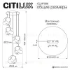 Подвесной светильник Citilux Rocka CL247086 CL247086 - 15
