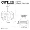 Подвесная люстра Citilux Dart CL231252 CL231252 - 16