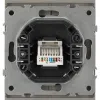 Розетка Эра Arktik 16-3107-07 информационная RJ45 титан Б0070480 Б0070480 - 3