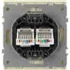 Розетка Эра Arktik 16-3108-02 информационная двойная 2XRJ45 слоновая кость Б0070485 Б0070485 - 3