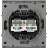 Розетка Эра Arktik 16-3108-03 информационная двойная 2XRJ45 алюминий Б0070486 Б0070486 - 3