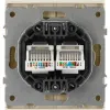 Розетка Эра Arktik 16-3108-04 информационная двойная 2XRJ45 шампань Б0070487 Б0070487 - 3
