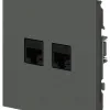 Розетка Эра Arktik 16-3108-06 информационная двойная 2XRJ45 графит Б0070489 Б0070489 - 2
