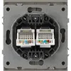 Розетка Эра Arktik 16-3108-07 информационная двойная 2XRJ45 титан Б0070490 Б0070490 - 3