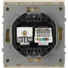 Розетка Эра Arktik 16-3110-04 комбинированная RJ45+TV шампань Б0070497 Б0070497 - 3