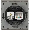 Розетка Эра Arktik 16-3110-07 комбинированная RJ45+TV титан Б0070500 Б0070500 - 3