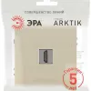 Розетка Эра Arktik 16-3114-04 HDMI шампань Б0070507 Б0070507 - 4