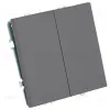 Выключатель двухклавишный Stekker Эмили RSW10-5116-10 платиново-серый soft touch 50823 50823 - 2