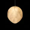 Подвесной светильник Loft IT Fionora 10531D 10531D - 6