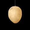Подвесной светильник Loft IT Fionora 10531E 10531E - 6