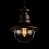 Уличный подвесной светильник Loft IT Piemonte 100022P 100022P - 4
