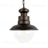 Уличный подвесной светильник Loft IT Piemonte 100022P 100022P - 5