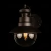 Уличный настенный светильник Loft IT Piemonte 100022W 100022W - 2