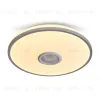 Потолочный светильник Freya Rond FR6226CL-L36W FR6226CL-L36W - 6