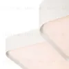 Потолочный светильник Freya Square FR6095CL-L84W FR6095CL-L84W - 6