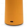 Настольная лампа Freya Mushroom FR6109TL-L4OR FR6109TL-L4OR - 7
