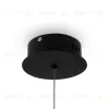 Подвесной светильник Freya Magnet FR6106PL-L13B FR6106PL-L13B - 12