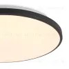 Потолочный светильник Freya Obelle FR6211CL-L24B FR6211CL-L24B - 4