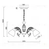 Подвесная люстра Myfar Maryse MR2721-5CP MR2721-5CP - 3