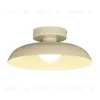 Потолочный светильник Myfar Bjorn MR2674-1CL MR2674-1CL - 3