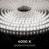 Светодиодная лента Apeyron 24В, 9,6 Вт/м, 800 лм/м, 4000К, smd2835, 120 д/м, IP65, 5м 00-442 00-442 - 10