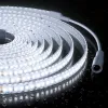 Светодиодная лента Apeyron 24В, 12 Вт/м, 1000 лм/м, 6500К, smd2835, 180 д/м, IP65, 5м 00-449 00-449 - 1