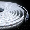 Светодиодная лента Apeyron 24В, 14,4 Вт/м, 1200 лм/м, 6500К, smd2835, 240 д/м, IP65, 5м 00-505 00-505 - 1