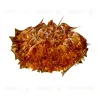 Потолочный светильник Loft IT Clizia 10593/780C Gold 10593/780C Gold - 1