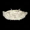 Потолочный светильник Loft IT Clizia 10594/780C White 10594/780C White - 4