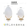 Настольная лампа Mantra Oasis 9652 9652 - 6