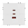 Механизм розетки с быстрой USB зарядкой Arlight SCT-NOBE-MUACC-SFPL-FC-WH (65W, QC3) 061839 061839 - 3