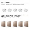 Реле с кинетическими выключателями, IP44, Wi-Fi 2,4 ГГц, Smart, 2выкл., 1 реле. беж. Apeyron 04-84 04-84 - 10