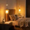 Подвесной светильник Citilux Nort CL475021 CL475021 - 7