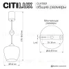 Подвесной светильник Citilux Nort CL475021 CL475021 - 11