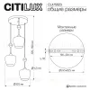 Подвесной светильник Citilux Nort CL475023 CL475023 - 5
