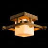 Потолочный светильник Arte Lamp 95 A8252PL-1BR A8252PL-1BR - 3