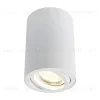 Потолочный светильник Arte Lamp A1560PL-1WH A1560PL-1WH - 1